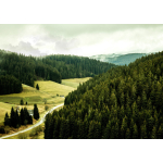MotoWales Black Forest Tour – Germany 8 Days | Intermediate to Experienced Riders